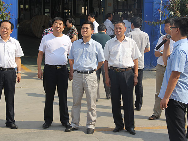 邢台市市长孟祥伟到乐玩国际线缆集团视察