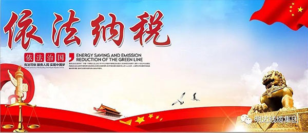 乐玩国际荣登宁晋线缆行业纳税企业光荣榜首位