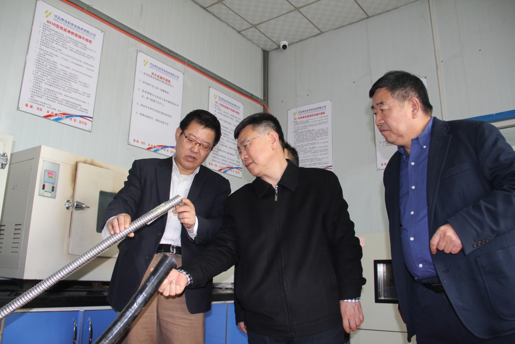 2020年11月1日，，，，，，，，河北省市场监管局质量发展局局长国建峰到乐玩国际调研