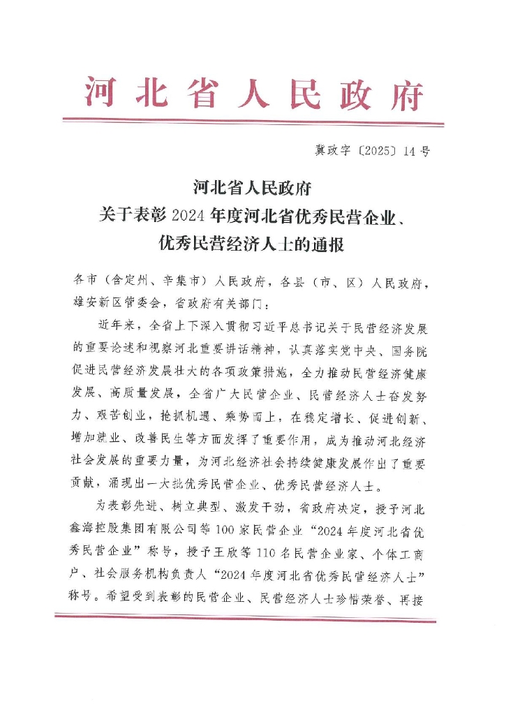 喜报：乐玩国际被省政府授予优秀民营企业称号